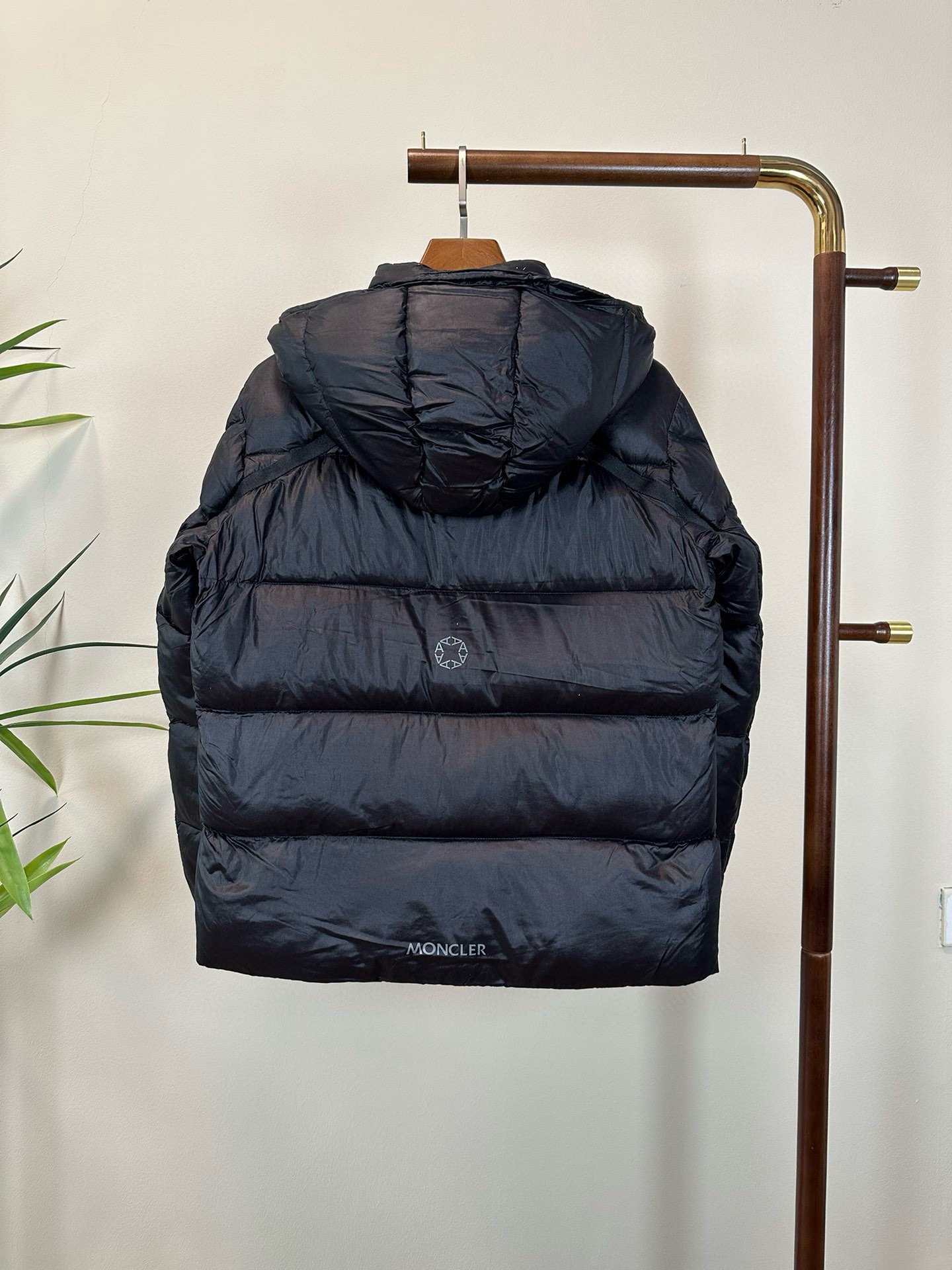 Moncler Down Jackets